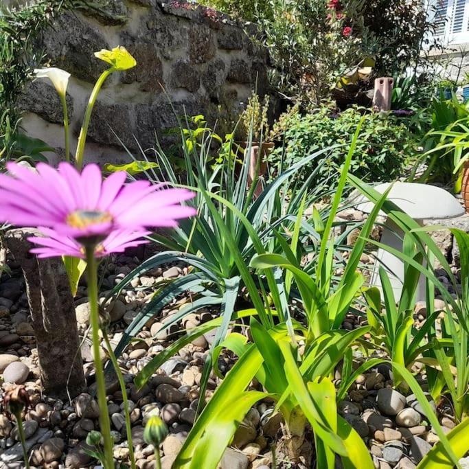 Corvus - Beautiful Cottage Half A Mile From Mousehole Penzance Exterior foto